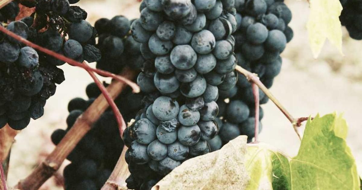 Top Free and Fun Things to Do Near Me in Panama City, Panama