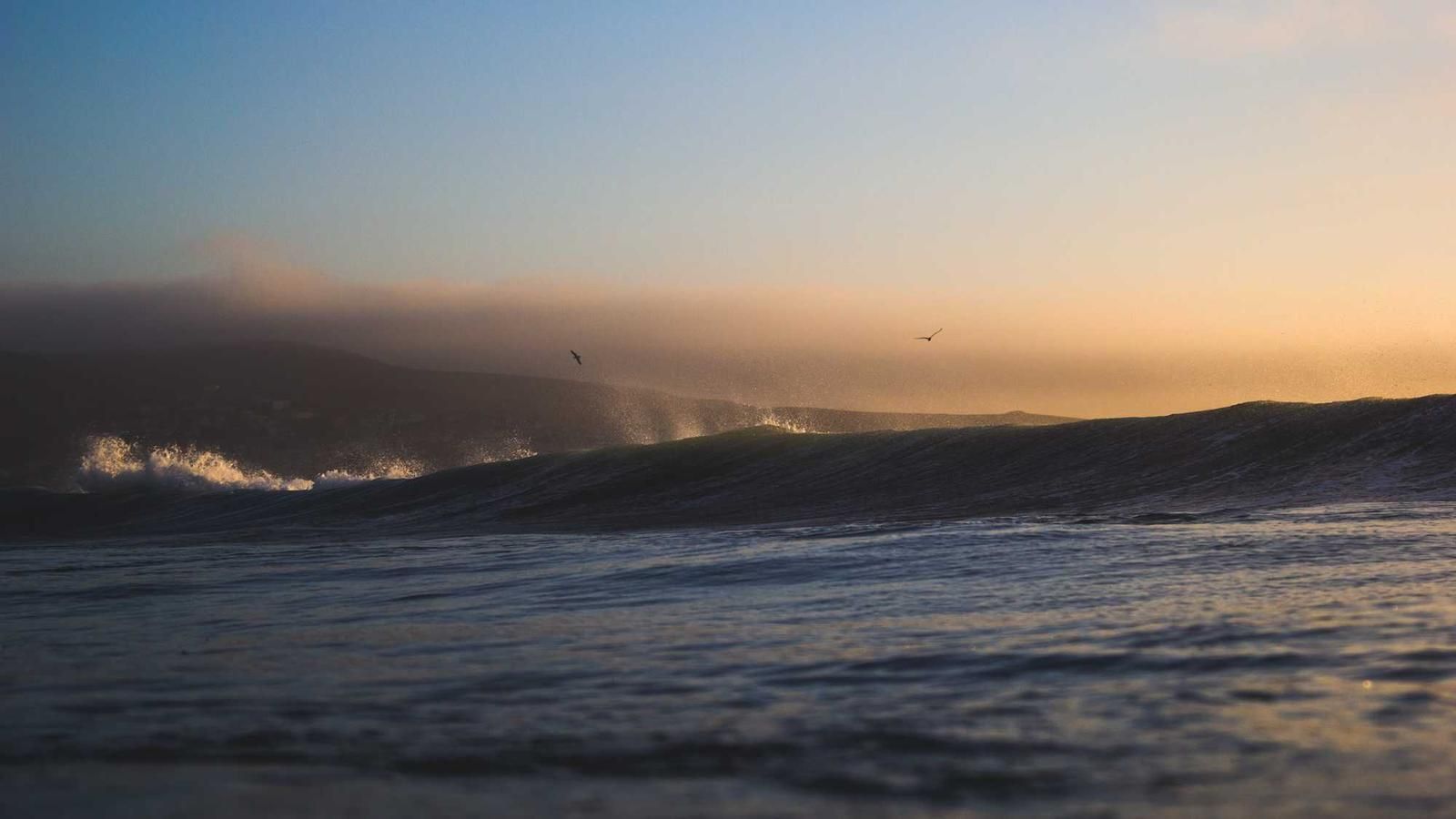Rolling ocean waves at sunset with birds flying over Gatun Lake during a wildlife safari tour in Panama City, Panama