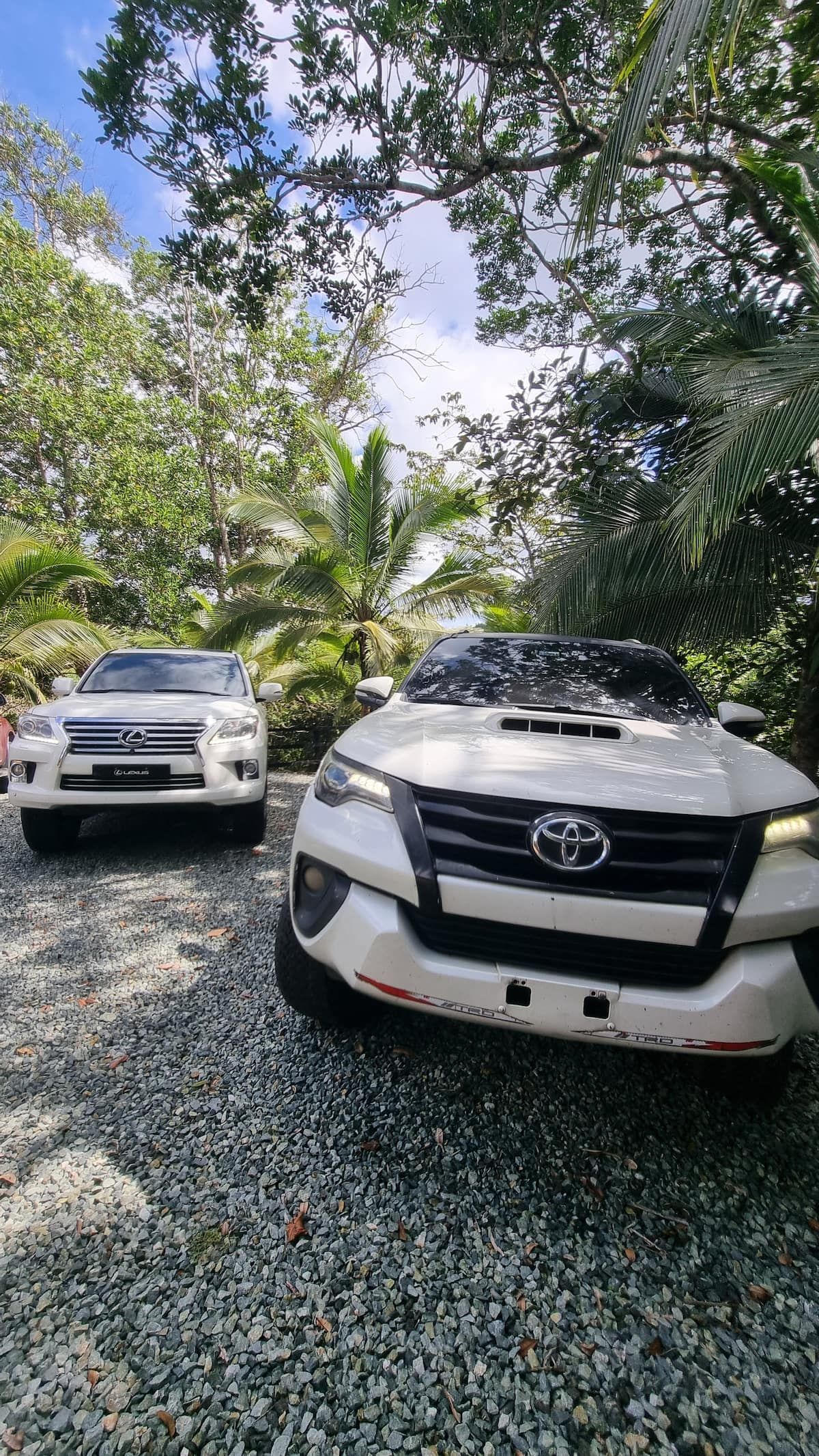 Two white SUVs parked on a gravel path surrounded by lush tropical vegetation during a San Blas Islands Day Tour in Panama.