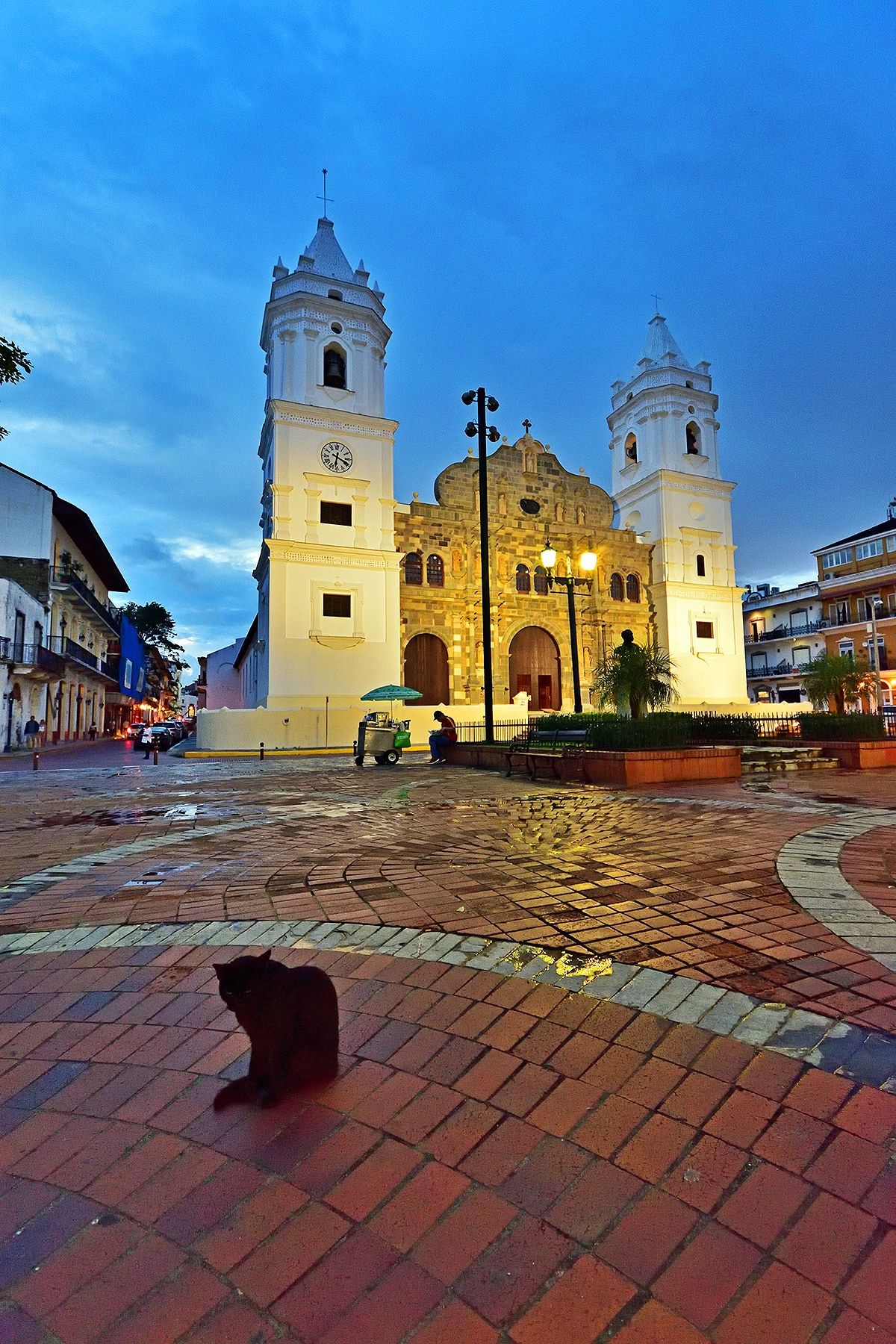 Un gato negro se sienta en la plaza de ladrillos frente a la iluminada Catedral de la Ciudad de Panamá durante una caminata fotográfica en Casco Antiguo.