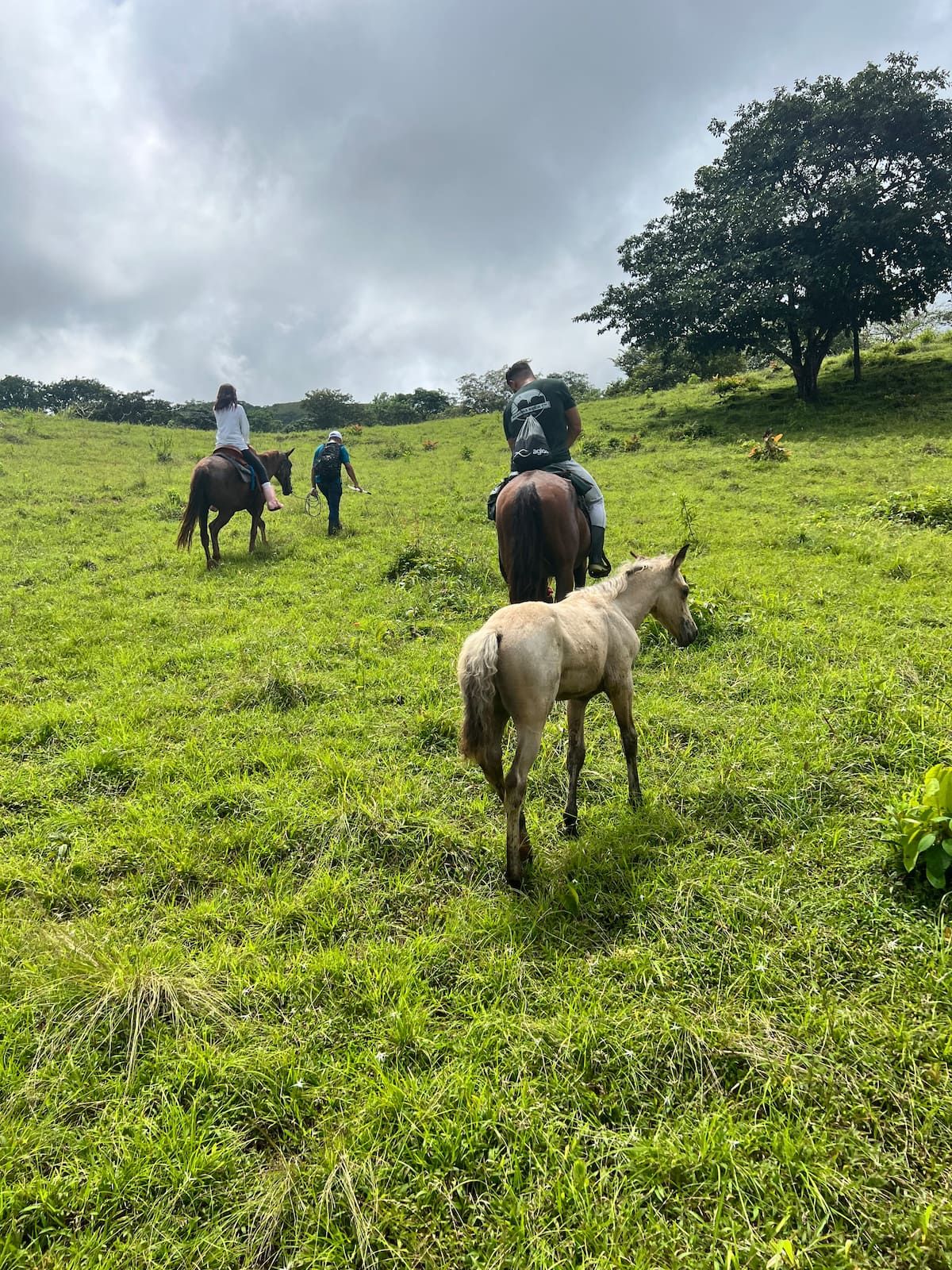 Horseback riders explore a lush green field in Panama, accompanied by a young horse grazing nearby under an overcast sky.