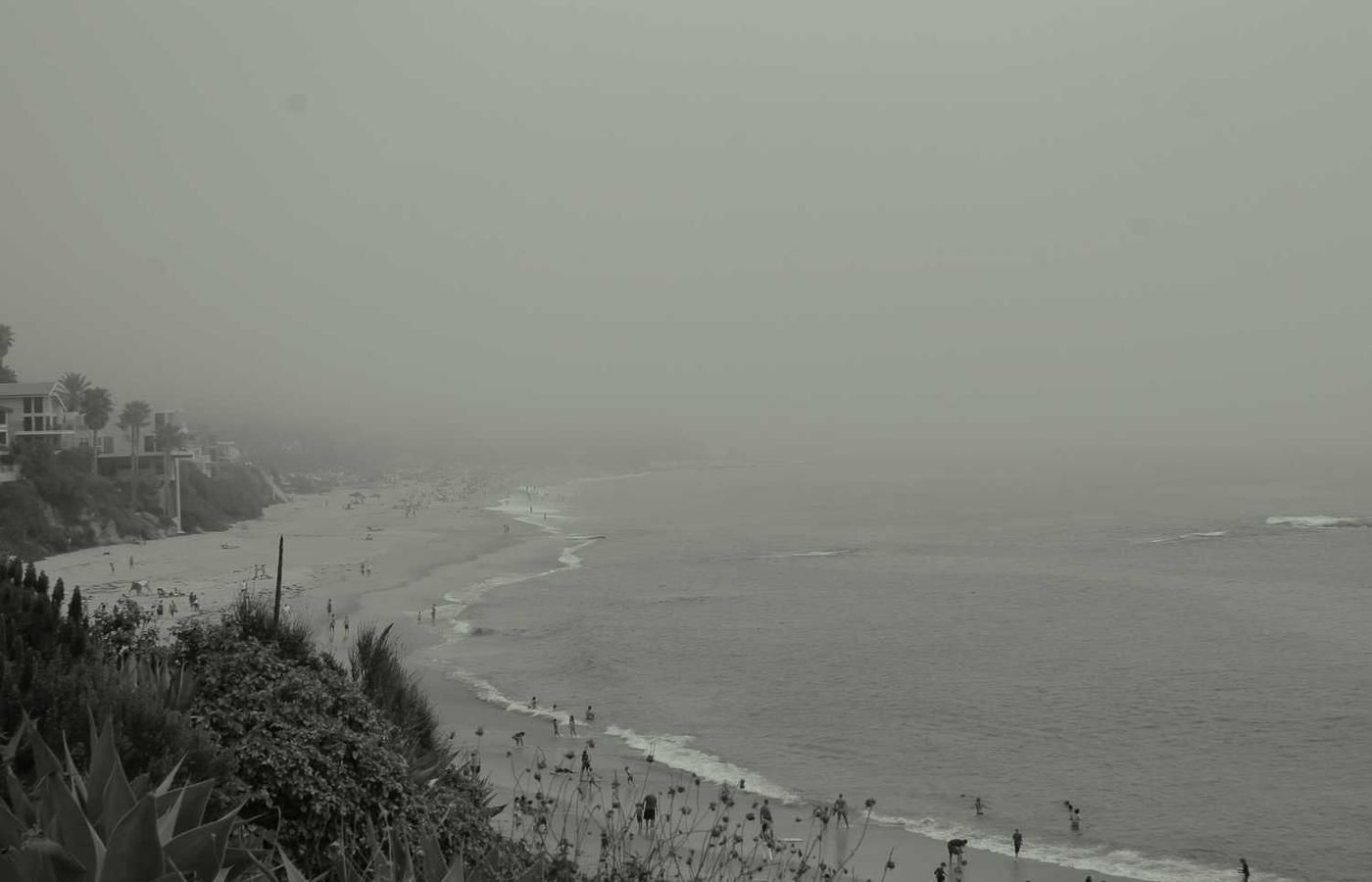 Misty beach with gentle waves, people swimming and walking along the shore, surrounded by lush vegetation under a foggy sky.