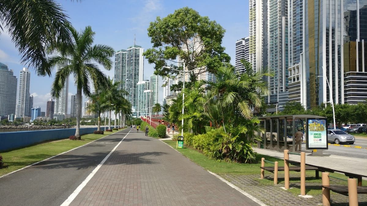 Calçada pavimentada ladeada por palmeiras e arranha-céus na Cidade do Panamá, oferecendo uma vista cênica do Canal do Panamá sob um céu ensolarado.