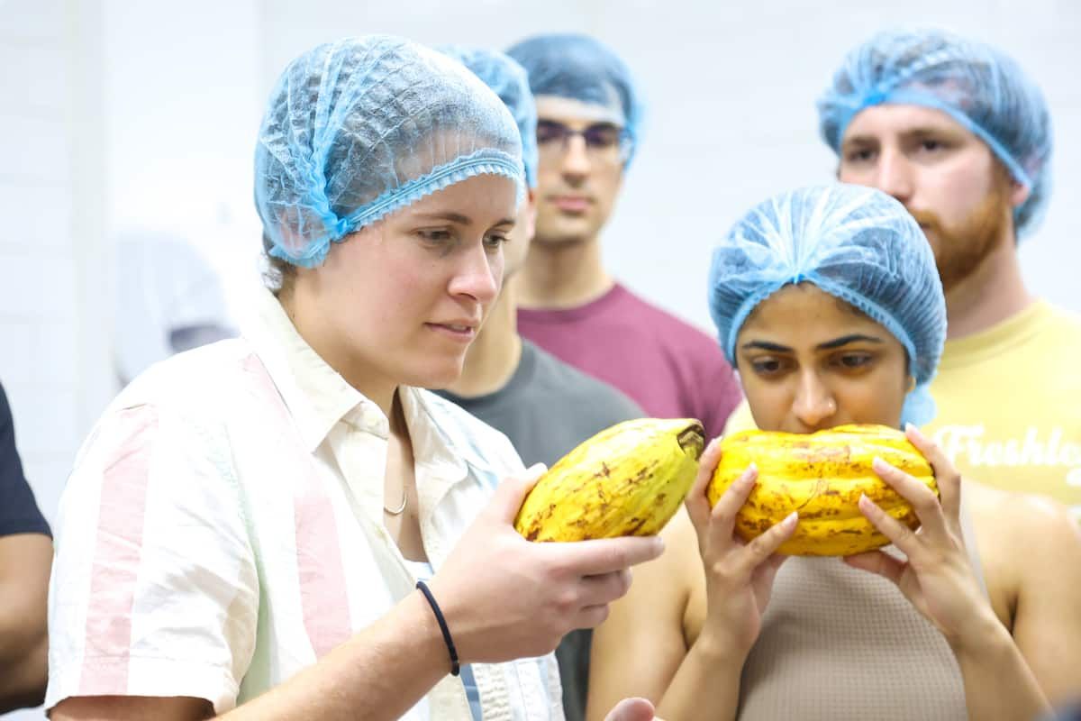 Participants examine cocoa pods during a Panama Chocolate Class Bean To Bar Workshop in Casco Antiguo, wearing hairnets and engaging in hands-on learning.