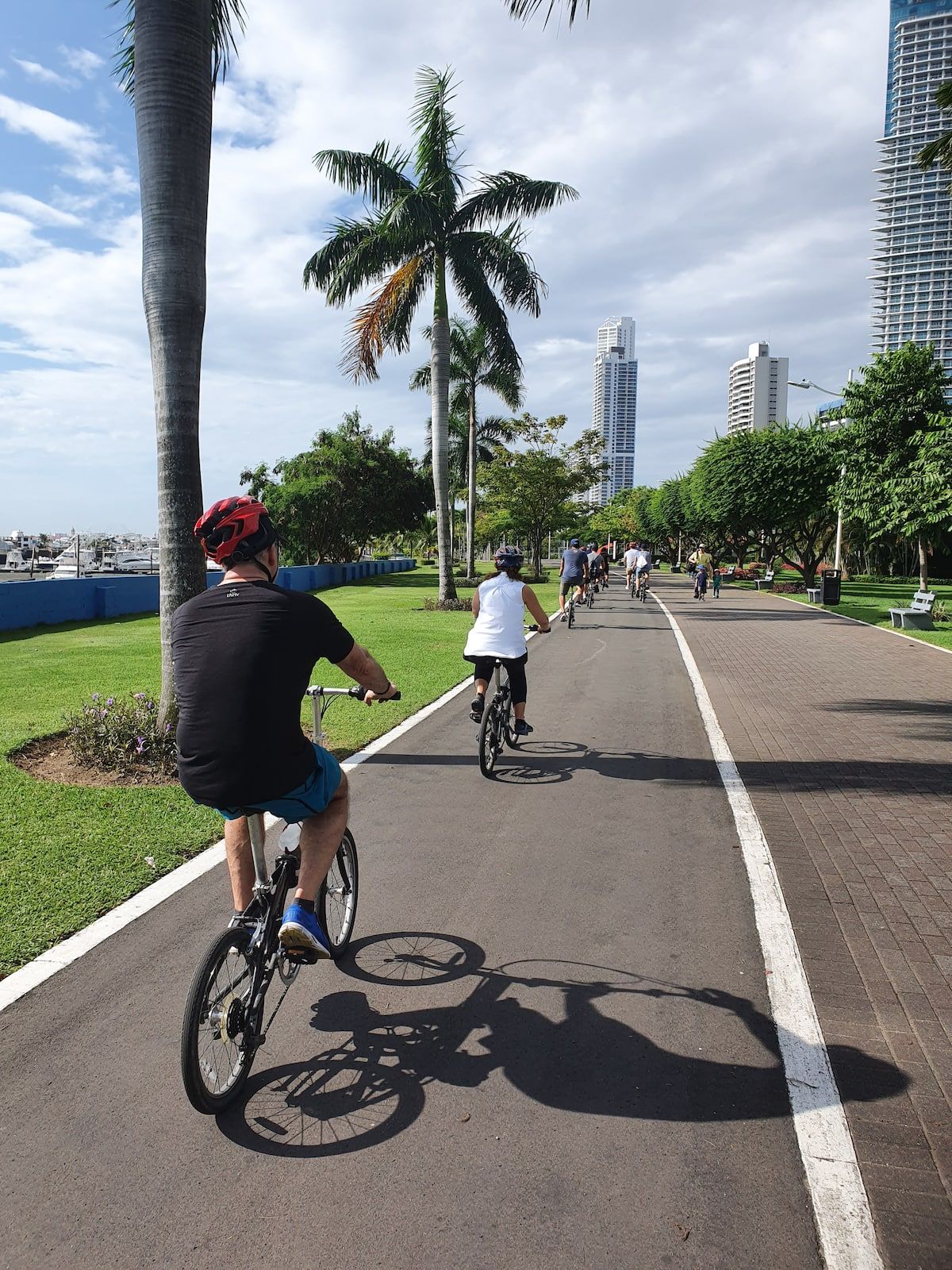 Cyclists enjoying a bike tour along a scenic path in Panama City, with views of the skyline and lush greenery.