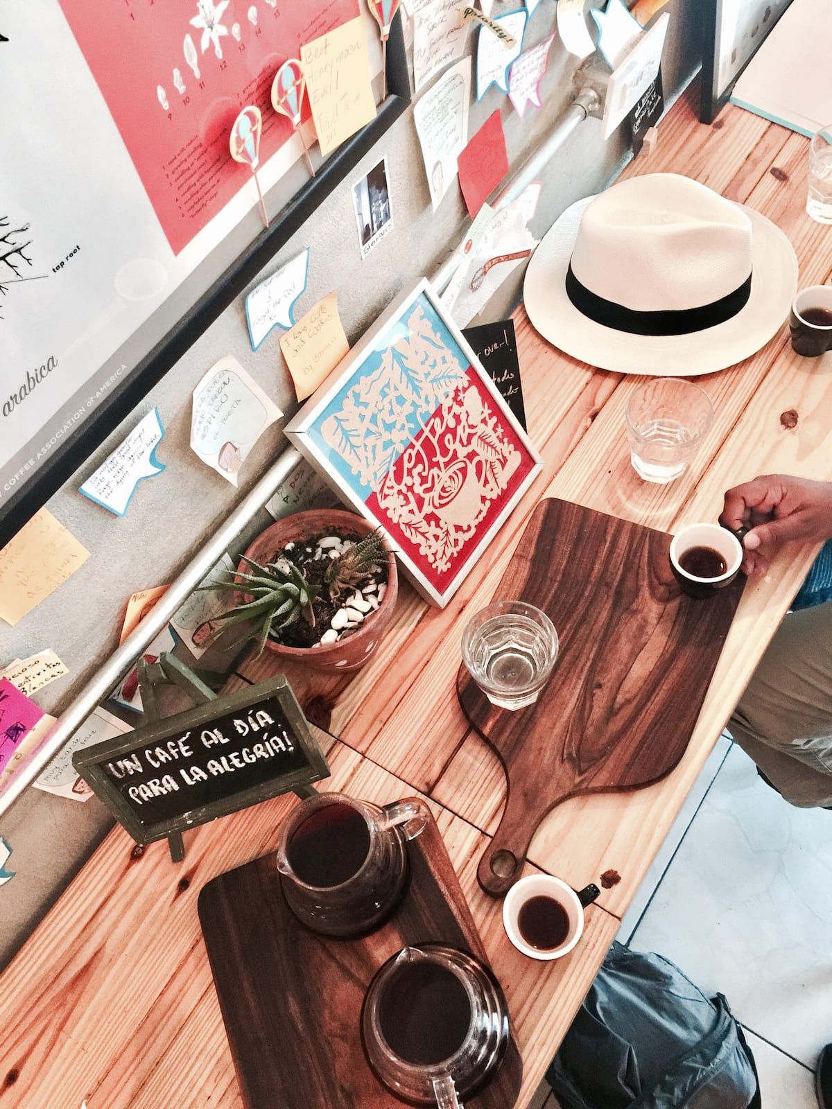 A person enjoying a cup of coffee at a wooden counter adorned with a Panama hat, succulents, and coffee-related artwork in Panama City.