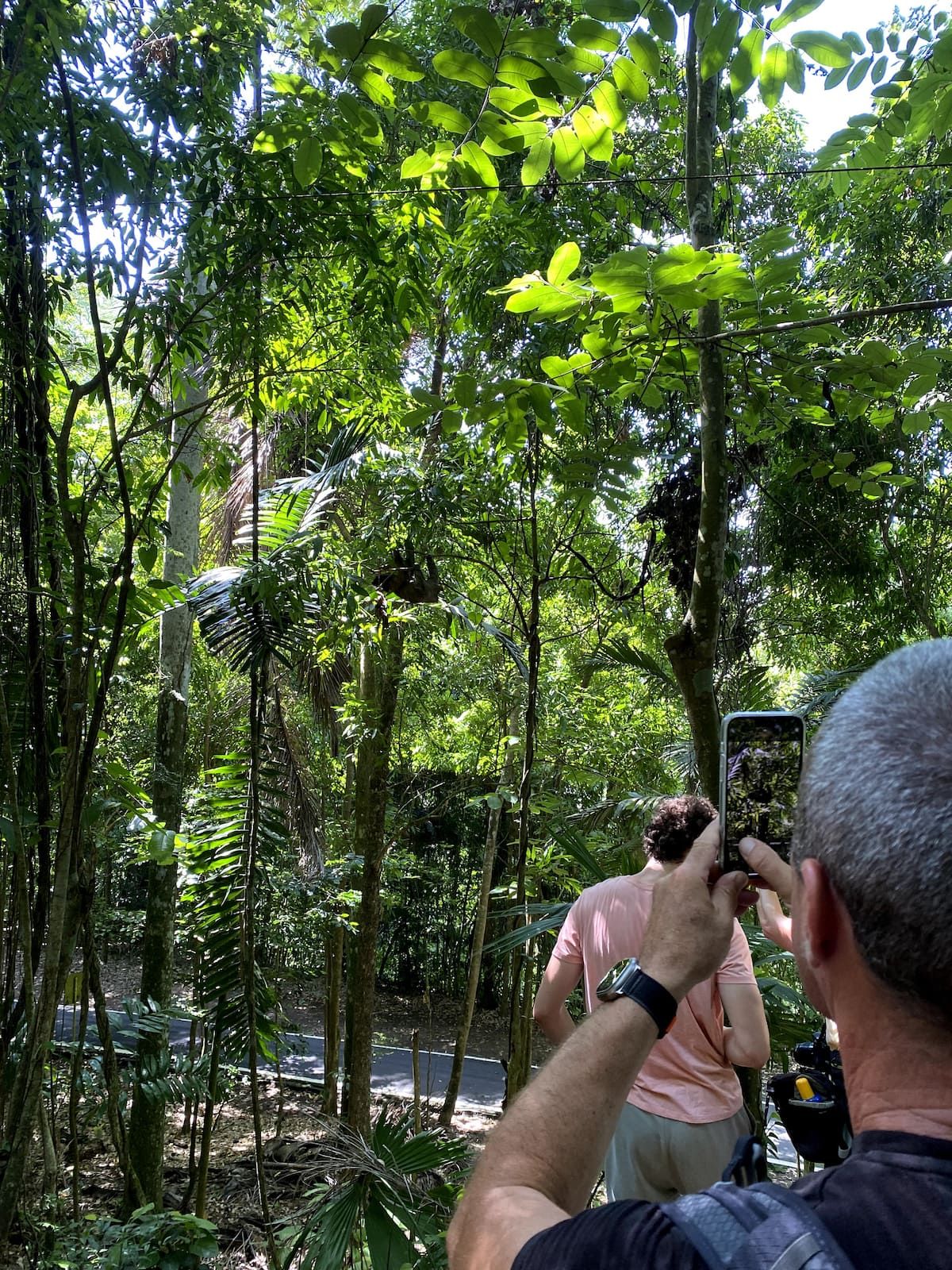 A man photographs his companion during an Urban Jungle Hike in Panama City, surrounded by lush greenery and sunlight filtering through the trees.