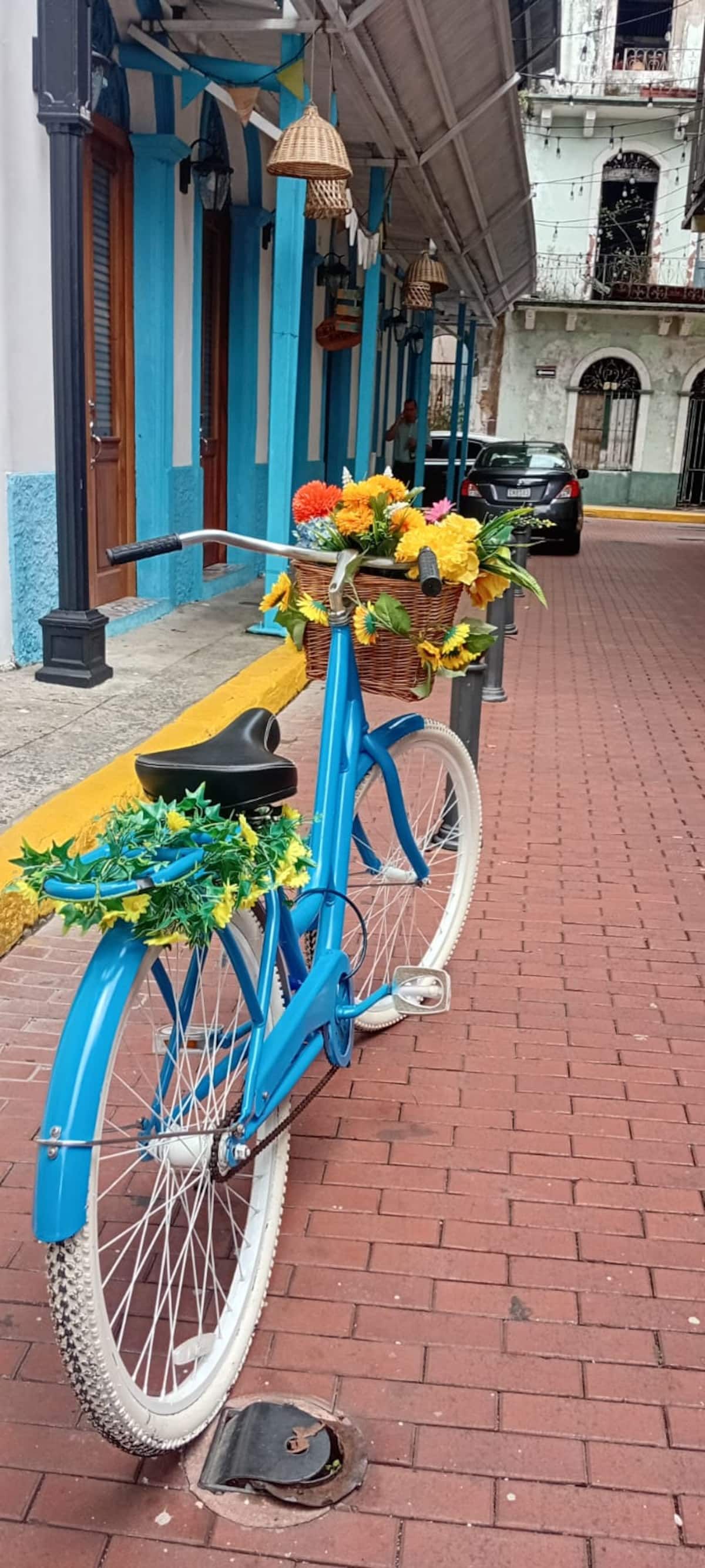 Exploring the Old Town