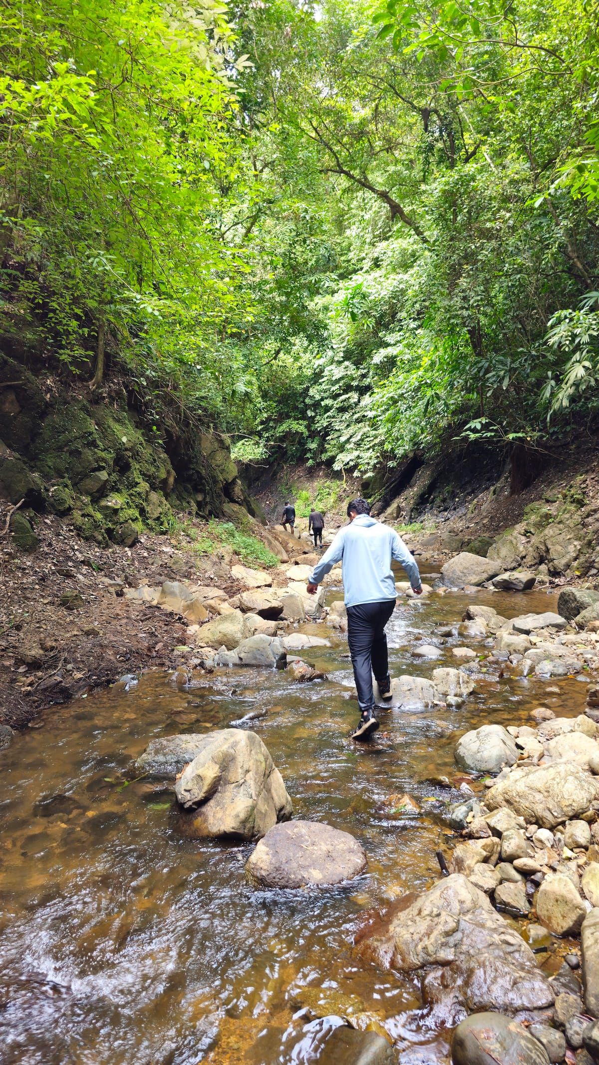 Kayaking, Waterfall Swim & Embera Village Full Day Adventure